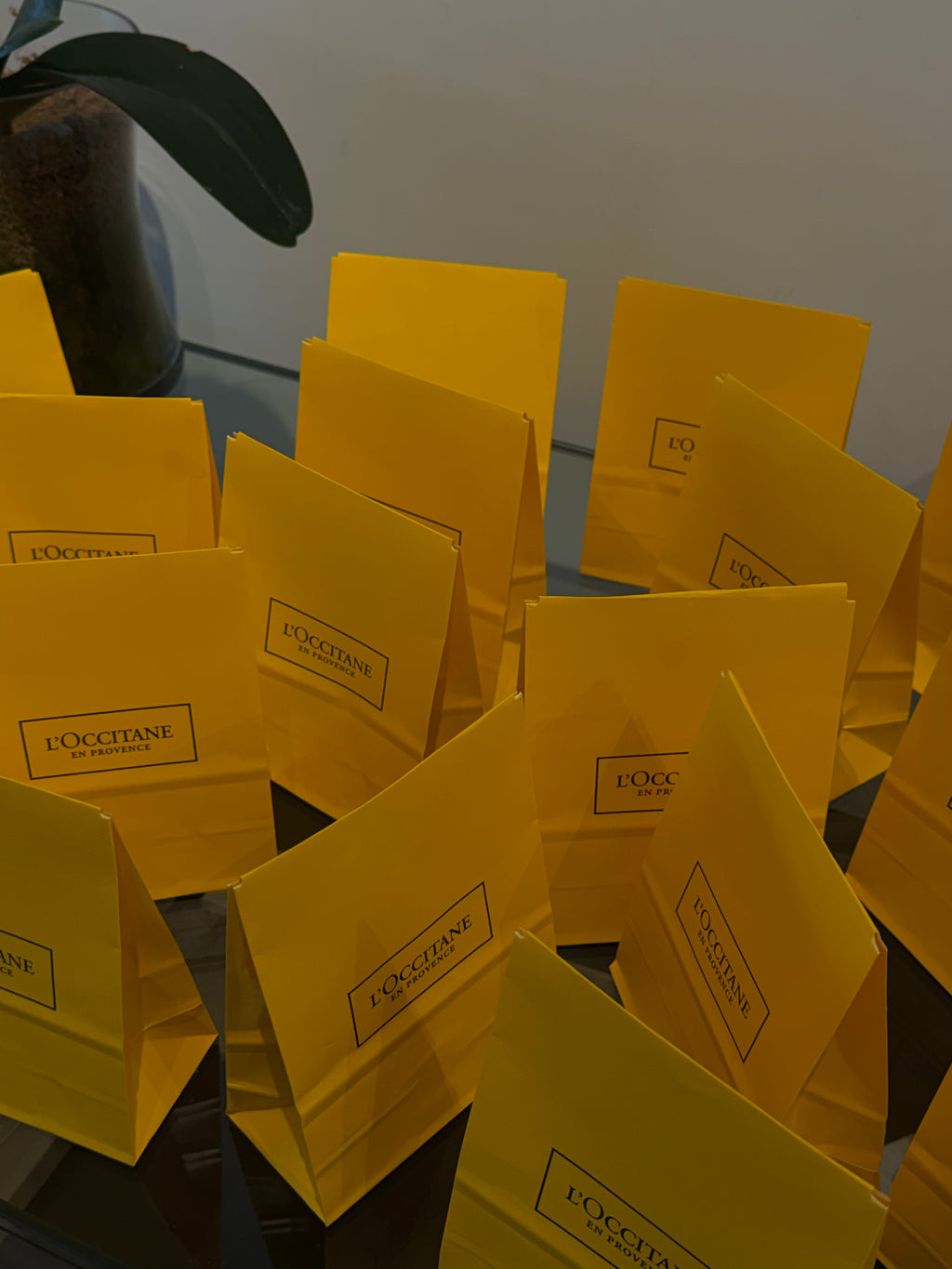 Regalo L´Occitane Cyber