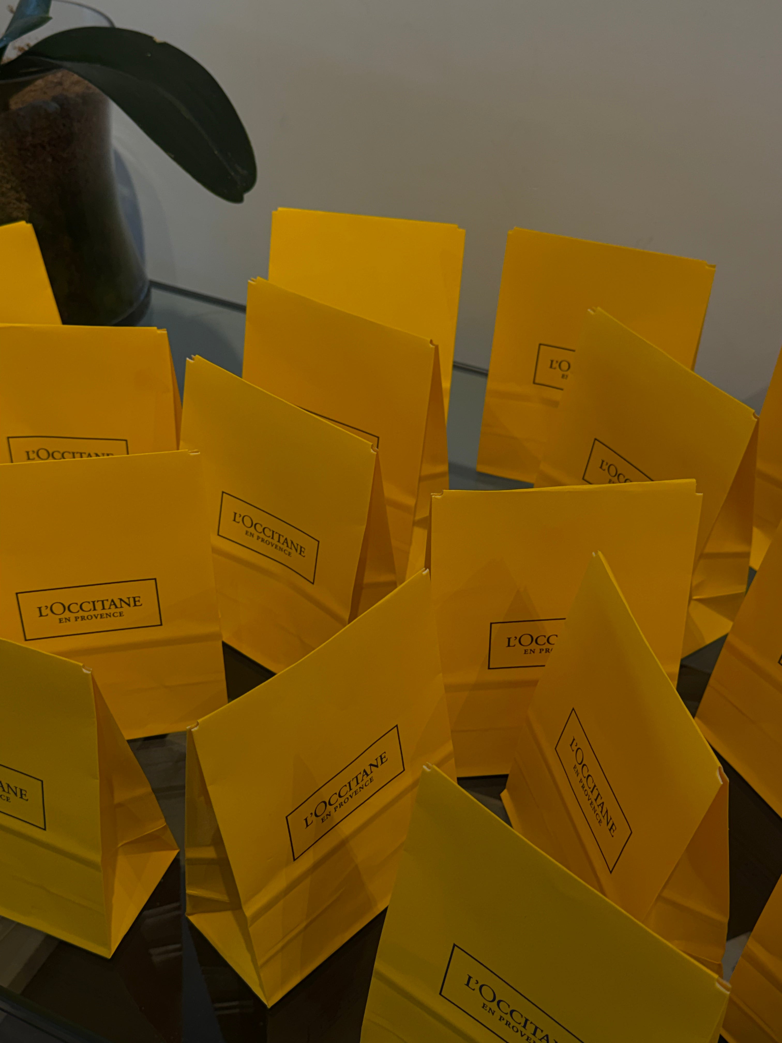 Regalo L´Occitane Cyber